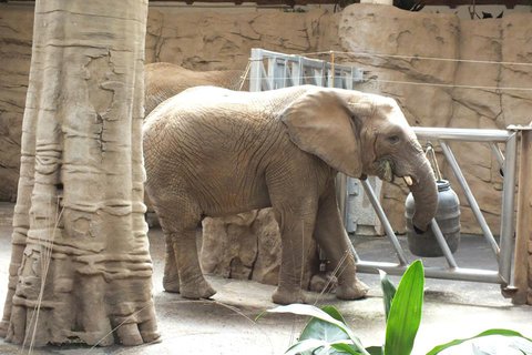 FOTKA - Za zvtky na kouzelnou Moravu aneb Zoo Len