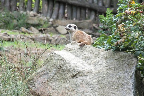 FOTKA - Za zvtky na kouzelnou Moravu aneb Zoo Len