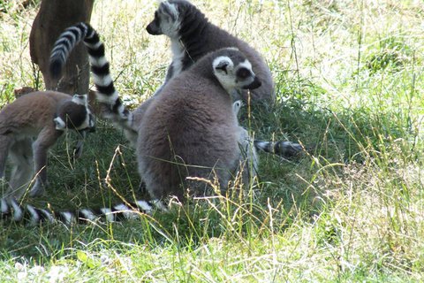 FOTKA - Za zvtky na kouzelnou Moravu aneb Zoo Len