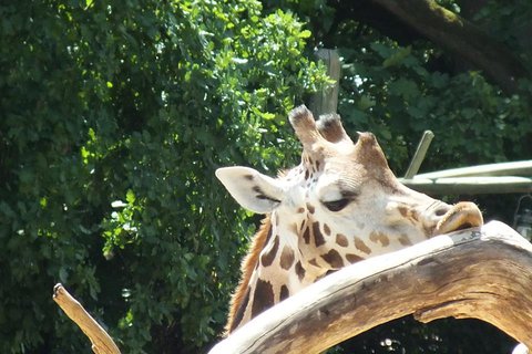 FOTKA - Za zvtky na kouzelnou Moravu aneb Zoo Len