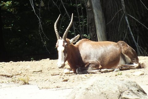 FOTKA - Za zvtky na kouzelnou Moravu aneb Zoo Len