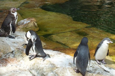 FOTKA - Za zvtky na kouzelnou Moravu aneb Zoo Len