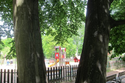 FOTKA - Keltsk hradit v parku Podvin