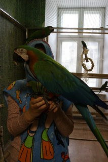 FOTKA - Plhodinka s papouky