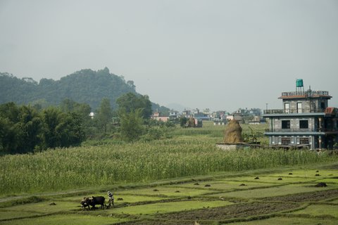 FOTKA - Na cest po neplsk Pokhae