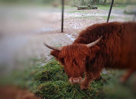 FOTKA - Zoo Norimberk