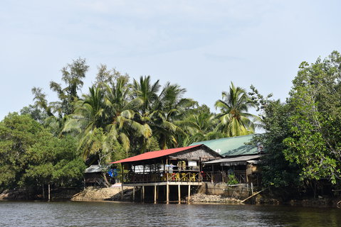 FOTKA - Safari na ece Cherating