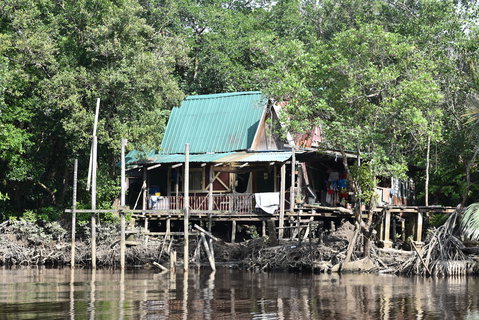 FOTKA - Safari na ece Cherating