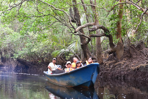 FOTKA - Safari na ece Cherating