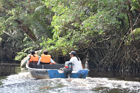 FOTKA - Safari na ece Cherating