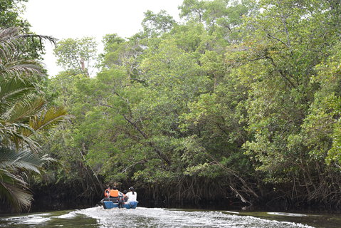 FOTKA - Safari na ece Cherating