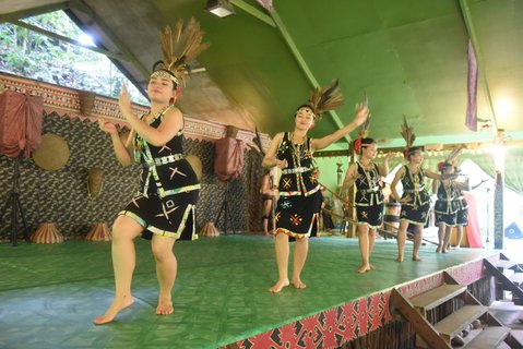 FOTKA - Tradin tance divokch etnik