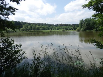 FOTKA - Novohradsk phranin rybnky