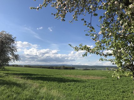 FOTKA - Co je za vechny penze