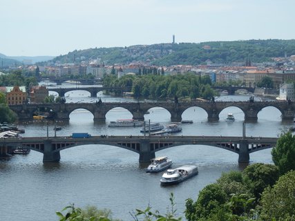 FOTKA - Prask zele - Letensk sady