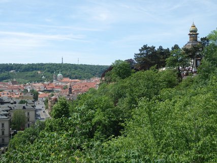 FOTKA - Prask zele - Letensk sady