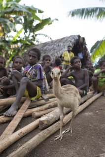 FOTKA - Papua Nov Guinea: dva svty - Martin