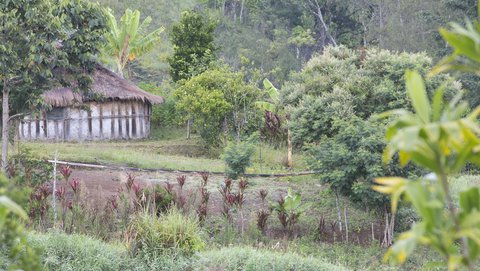 FOTKA - Papua Nov Guinea: dva svty - Filip a Johnas