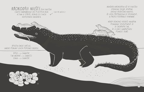 FOTKA - Ilustrovan atlas legranch fakt o mlatech