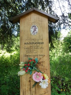 FOTKA - Touln zapomenutou umavou - pes Frauenthal na Pustinu
