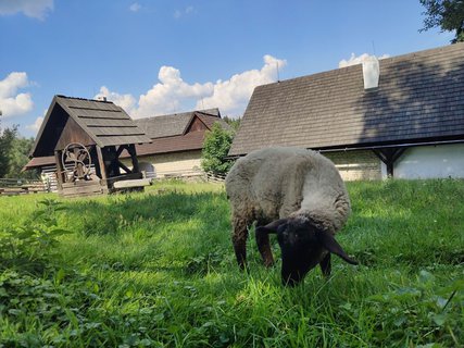 FOTKA - Krsn a pohodov vlet na Vesel Kopec