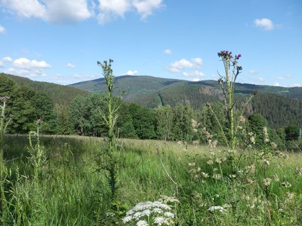 FOTKA - Povydm trochu jinak