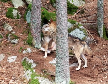 FOTKA - Povydm trochu jinak