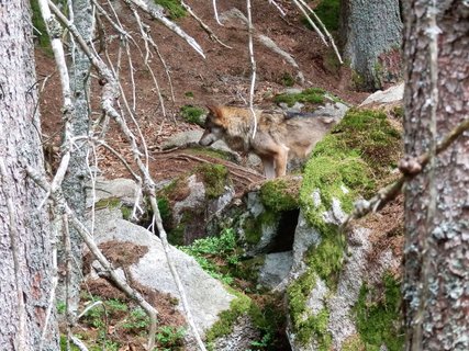 FOTKA - Povydm trochu jinak