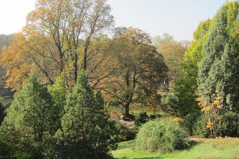 FOTKA - koln botanick zahrada v Maleicch