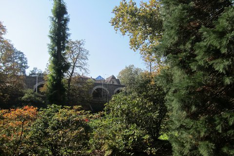 FOTKA - koln botanick zahrada v Maleicch