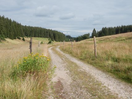 FOTKA - Zanikl Krunoho