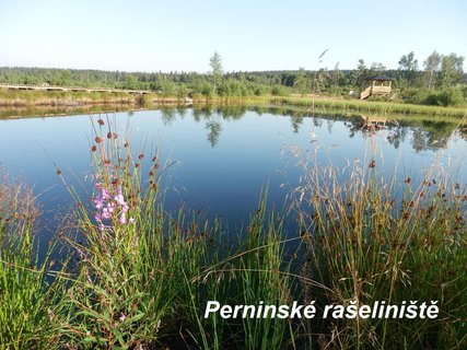 FOTKA - Rozhledna Pajndl na Tisovskm vrchu