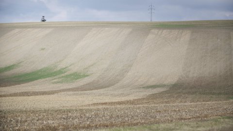 FOTKA - esk urnl: ei jsou vborn houbai