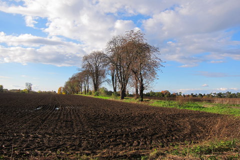 FOTKA - Naun stezka mezi praskmi stmi Vino a Satalice