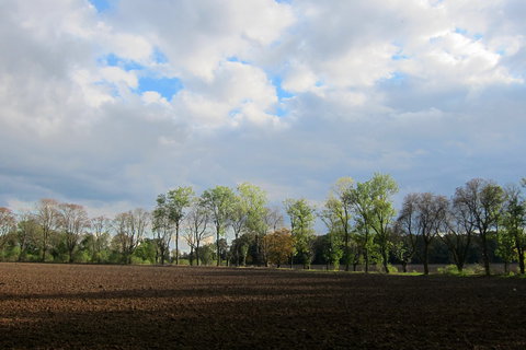 FOTKA - Naun stezka mezi praskmi stmi Vino a Satalice