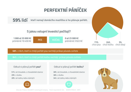 FOTKA - ei si v dob pandemie vce poizuj domc mazlky