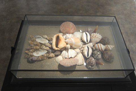 FOTKA - Galerie Smeky
