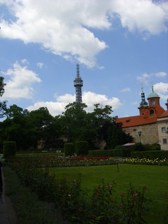 FOTKA - vejkovina