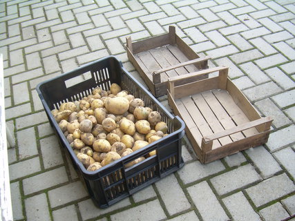 FOTKA - M bramborov brigdy