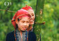 Cestomnie - Vietnam: Barvy trop