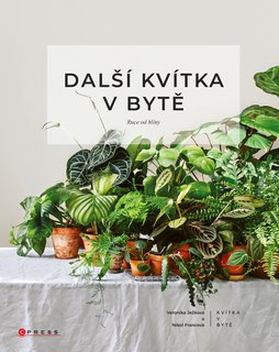 FOTKA - Dal kvtka v byt: Ruce od hlny