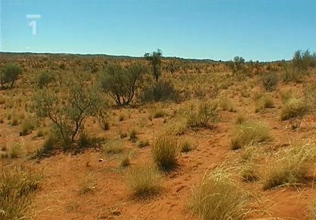 FOTKA - Cestomnie - Botswana: Placat Afrika