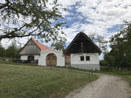 FOTKA - Kouim  vlet zptky v ase