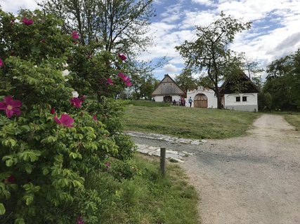 FOTKA - Kouim  vlet zptky v ase