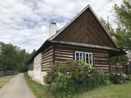 FOTKA - Kouim  vlet zptky v ase