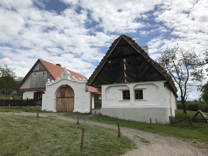FOTKA - Kouim  vlet zptky v ase