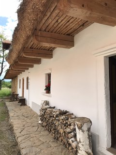 FOTKA - Kouim  vlet zptky v ase