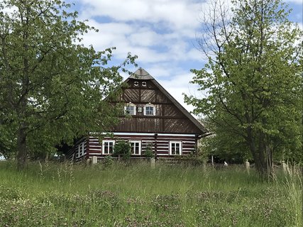 FOTKA - Kouim  vlet zptky v ase