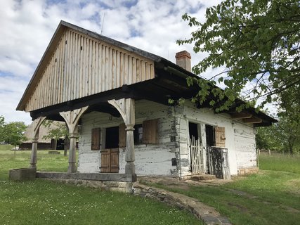 FOTKA - Kouim  vlet zptky v ase