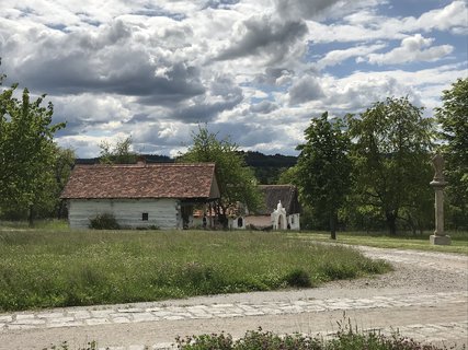 FOTKA - Kouim  vlet zptky v ase